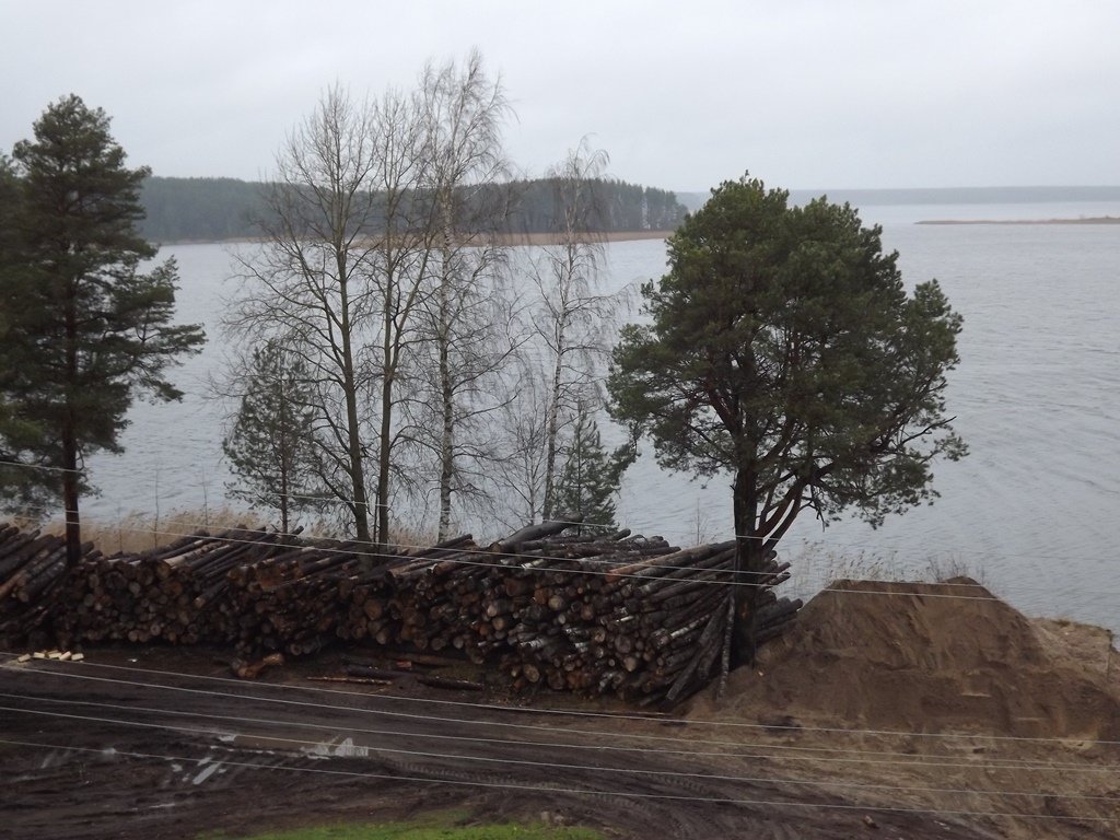 �������� �����