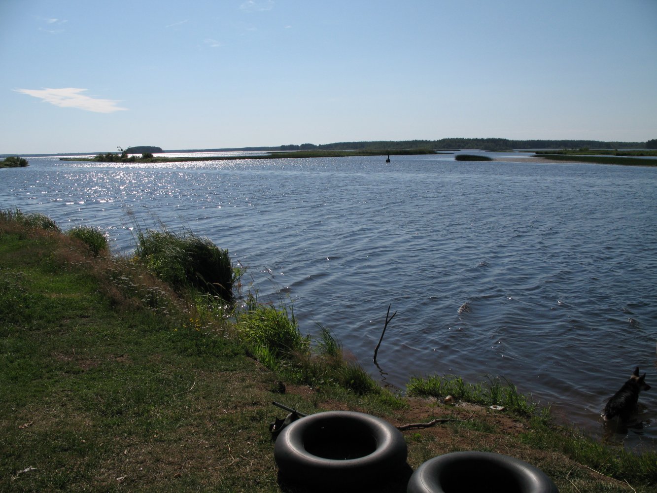 ������������� ����