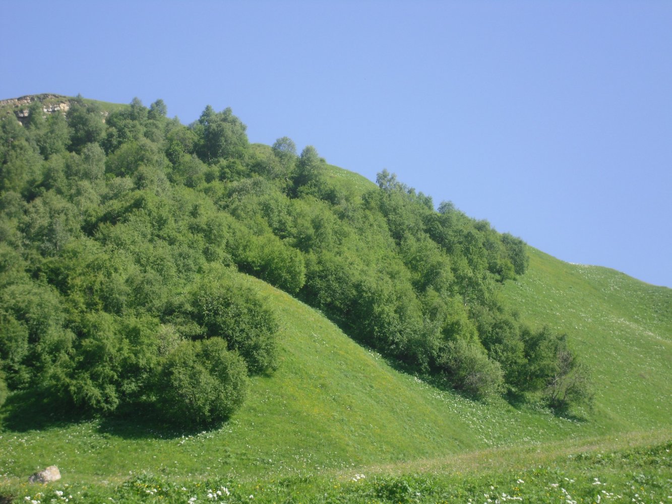 ����1���