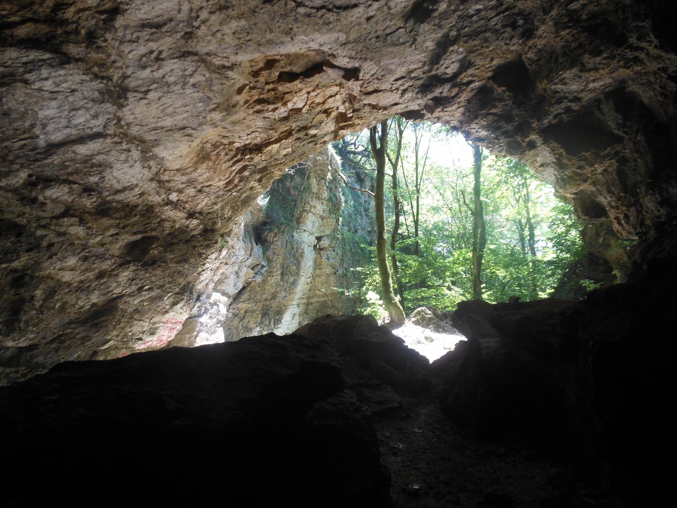 ���� � ������