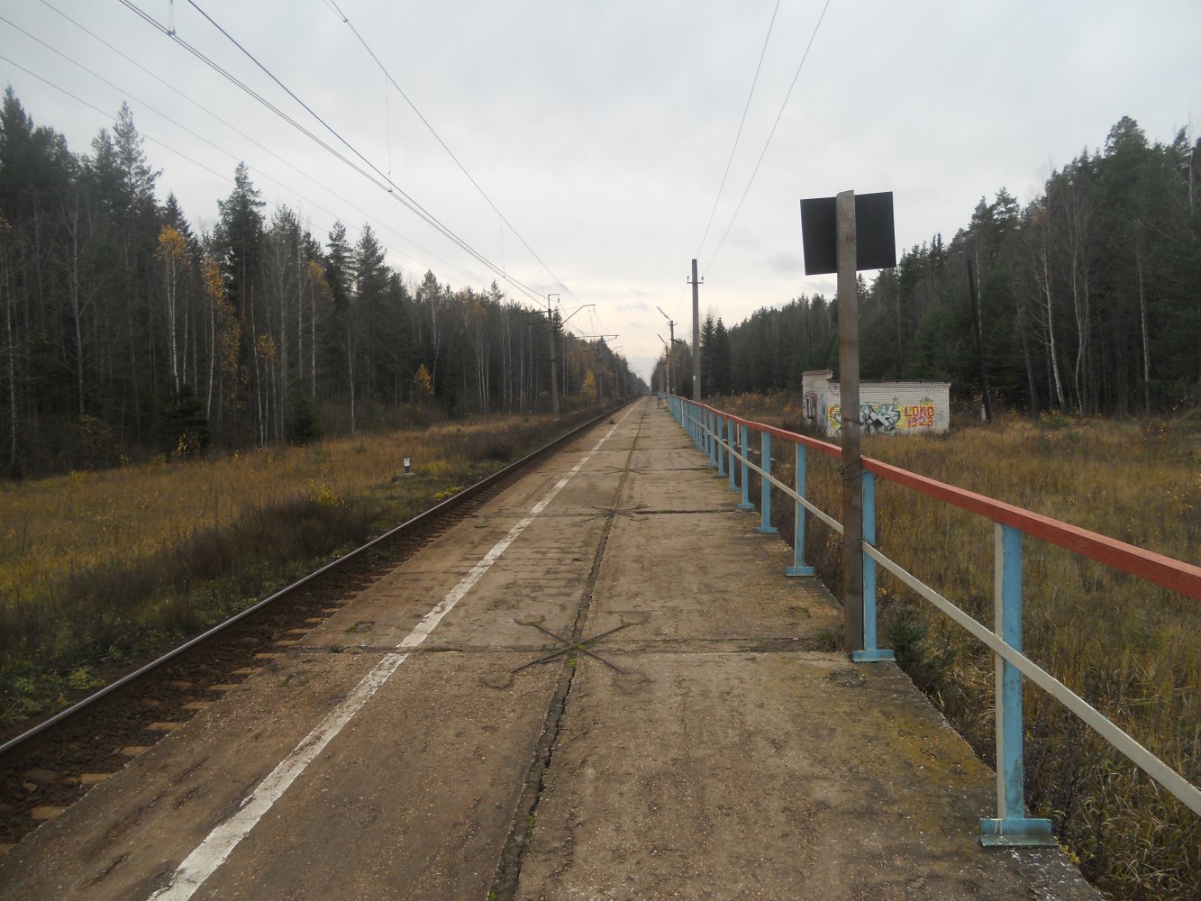 �/� ��������� ��������