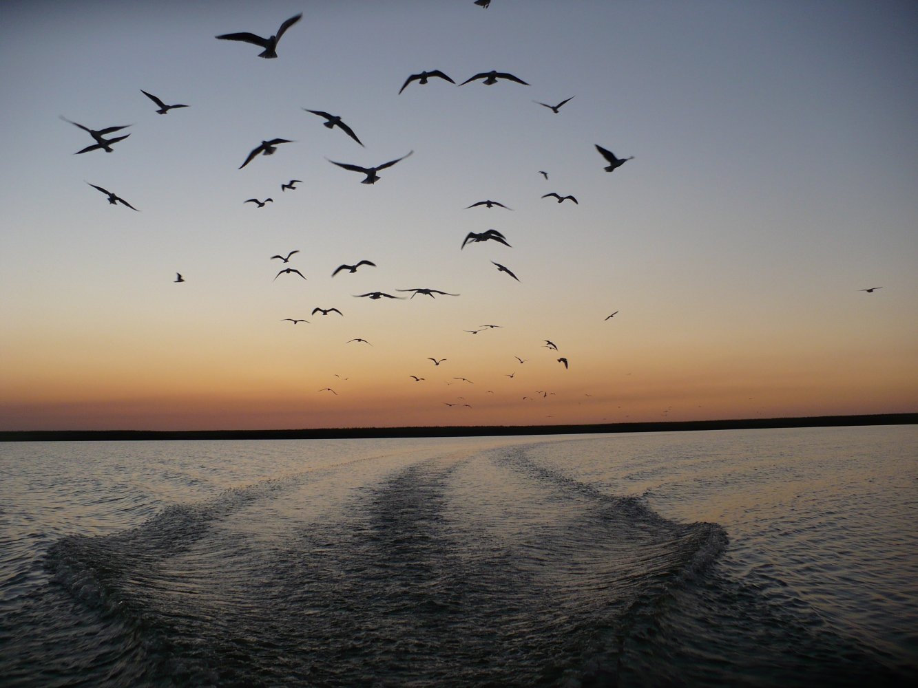 ����������� ����� � �. ������