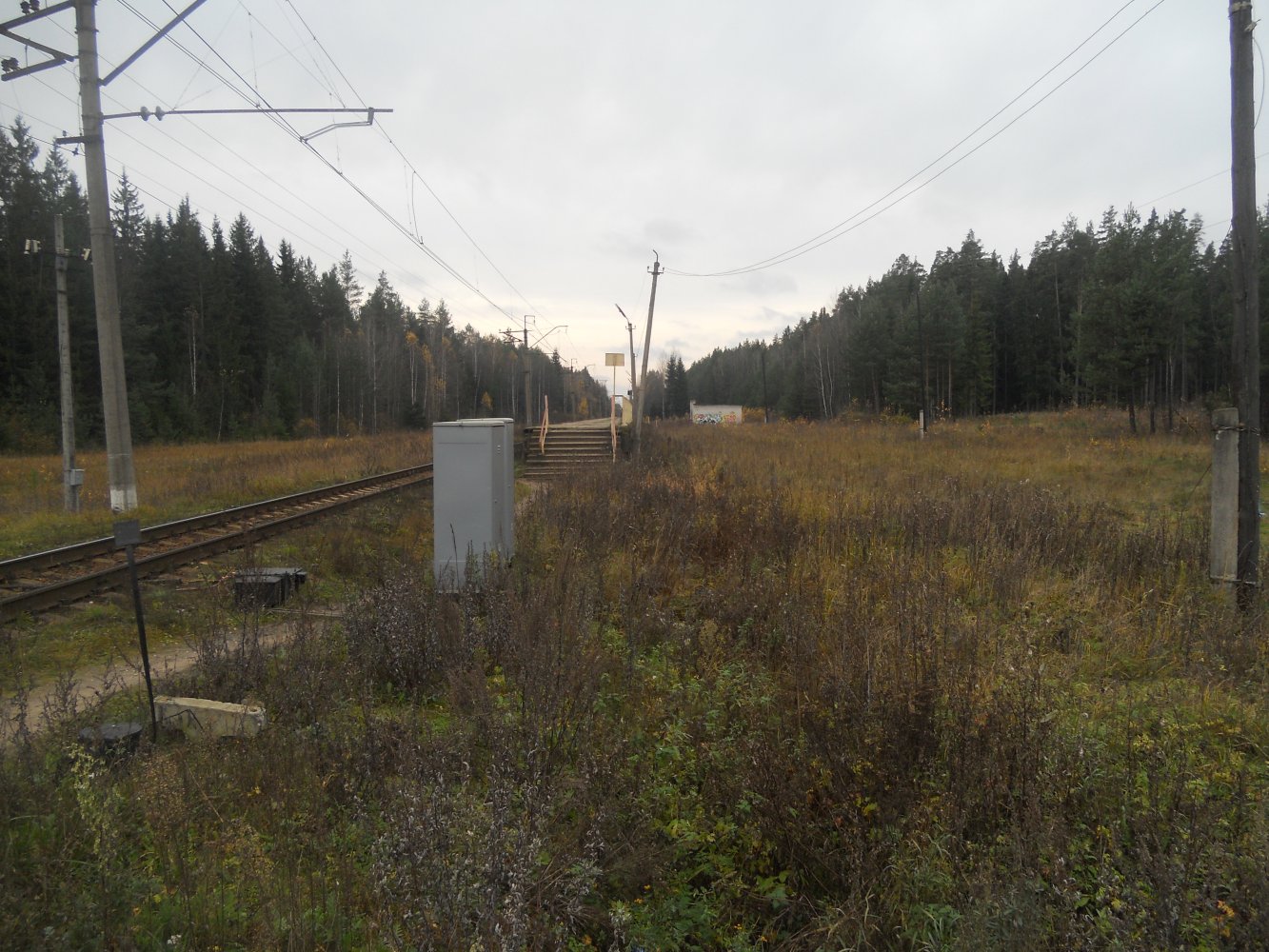 �/� ��������� ��������