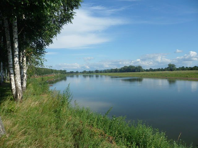 ���� �����