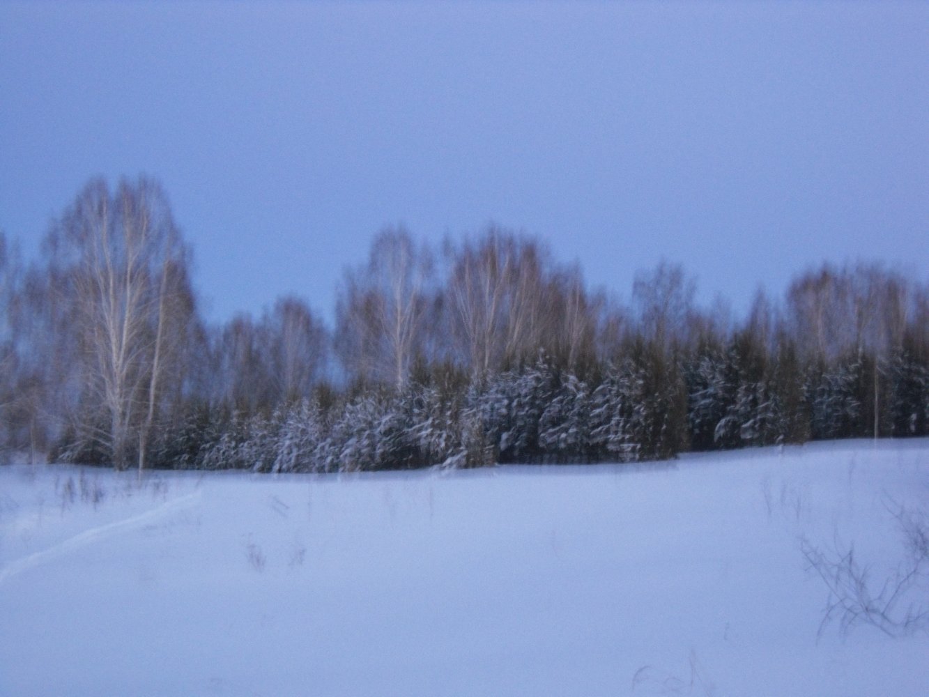 �.-����� �� �����