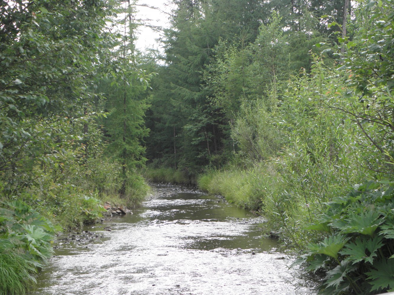 ����� �� ������ �� ������