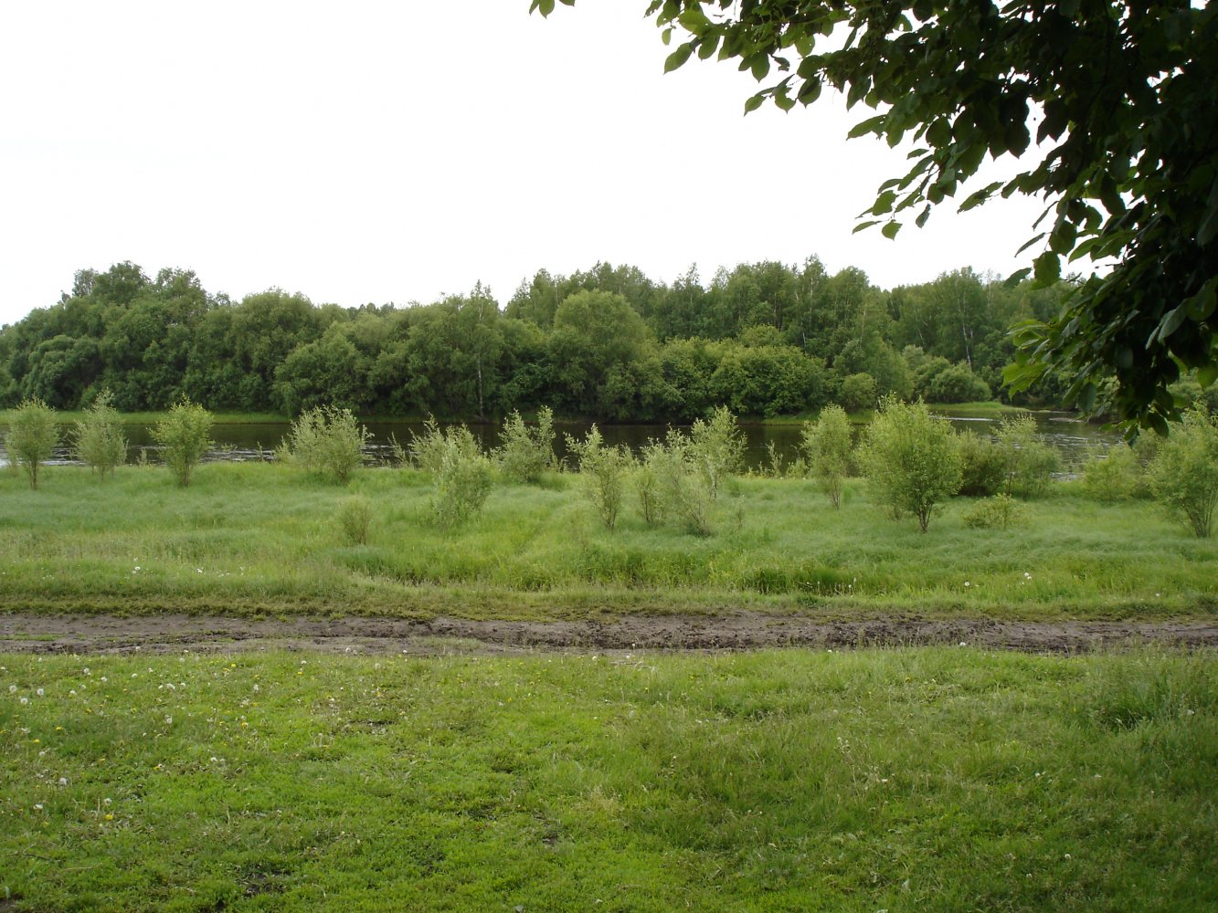 ��� �� ������� ���� �����