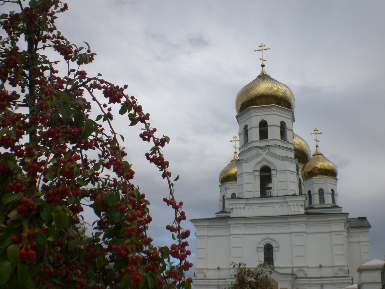 ���� � ������� ������������