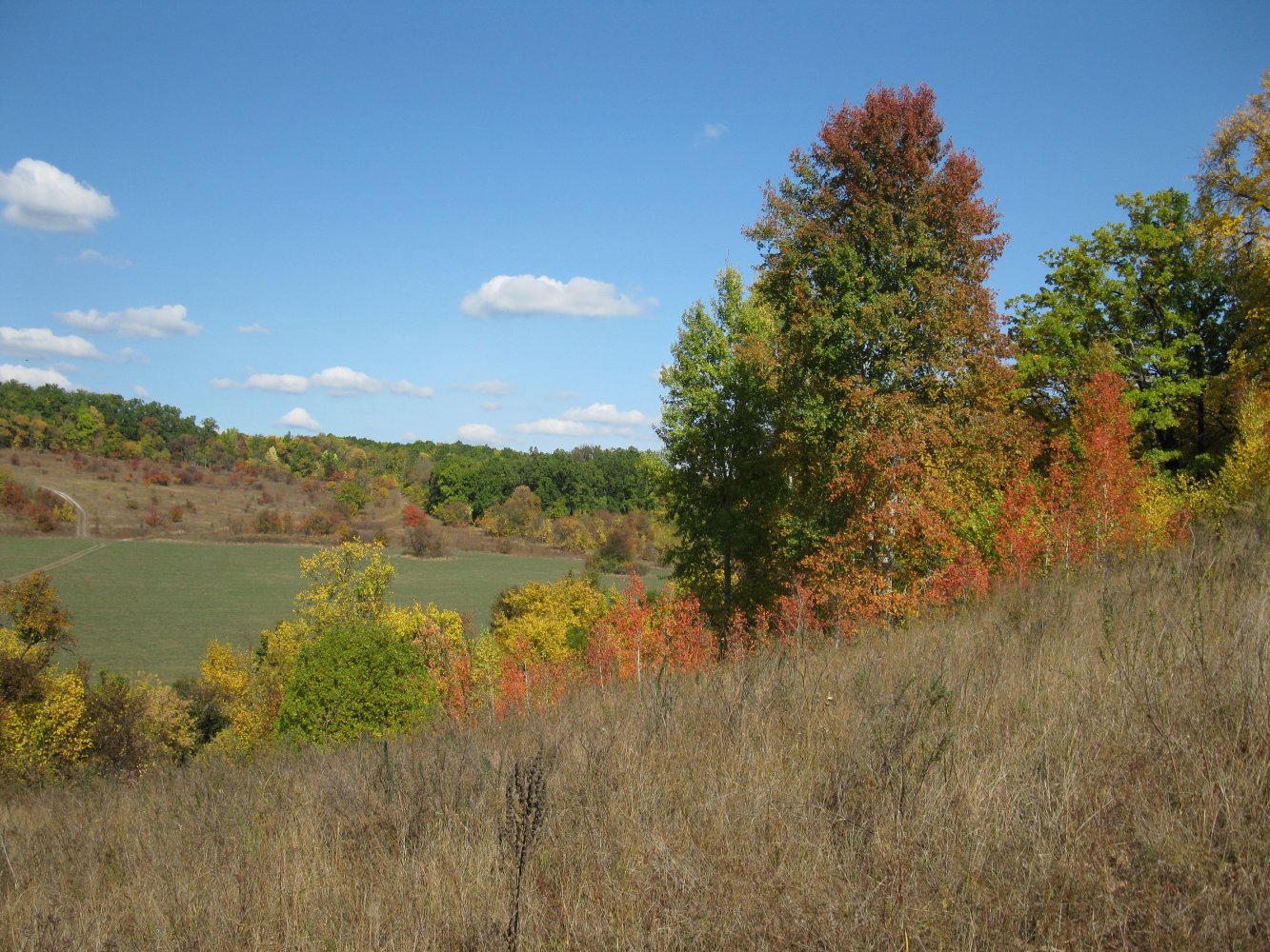 ��� ����� �� ����� (�� ���-��) 