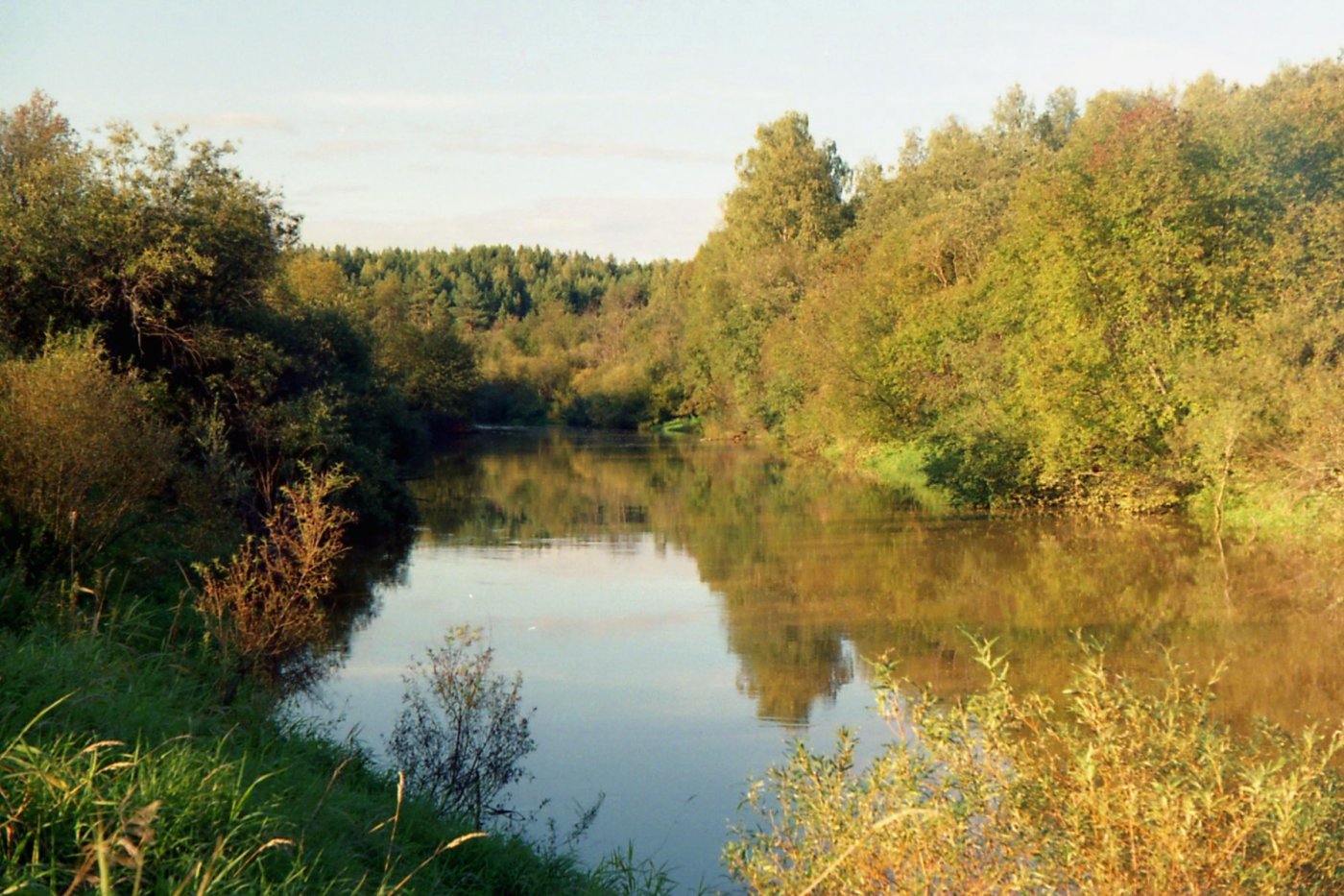 Кострома Парфеньево река нея
