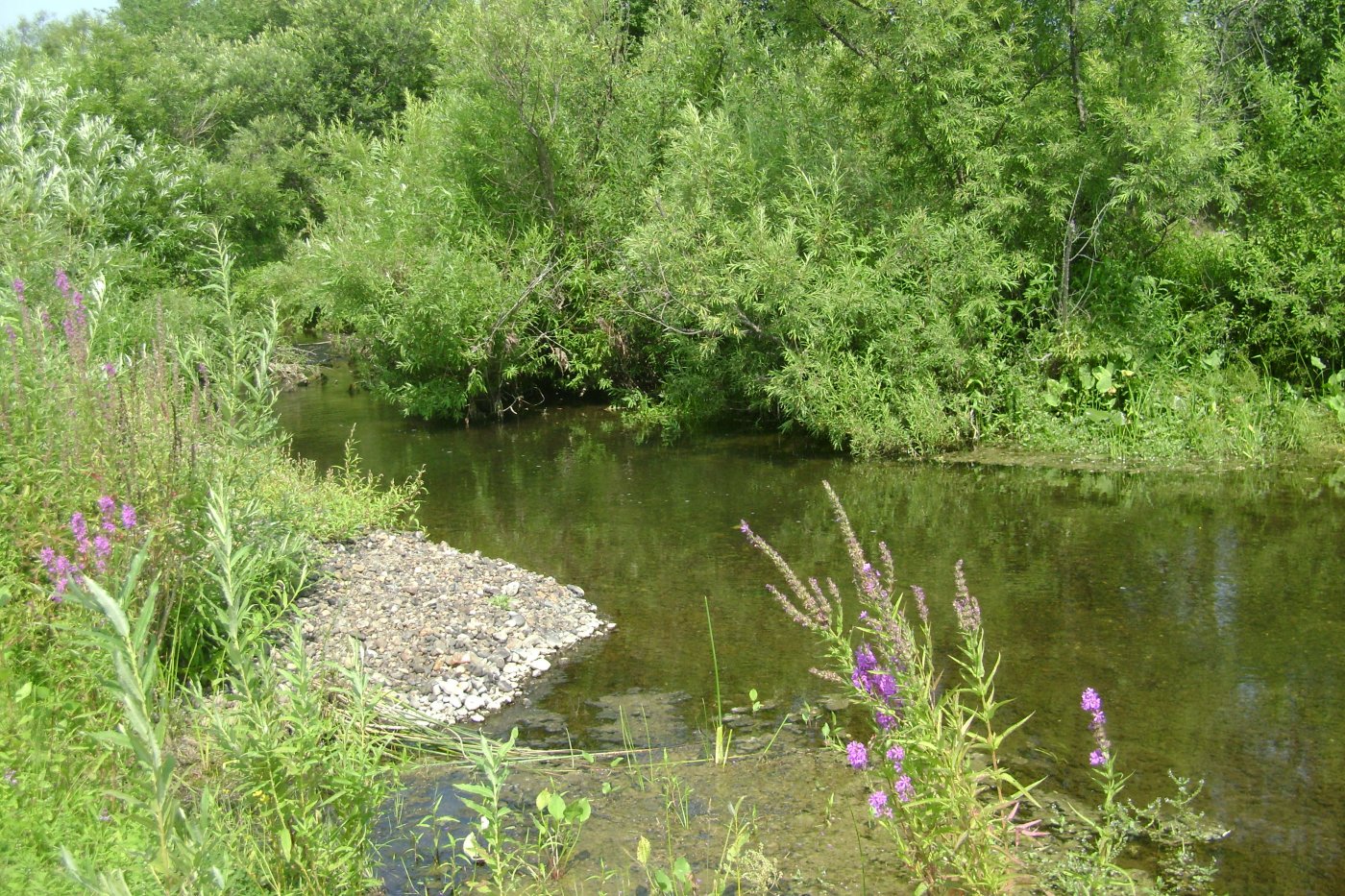 �.�������