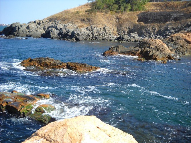 ���� ������� �����������