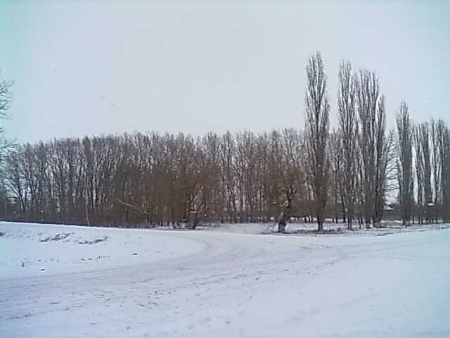 ���� � ��������