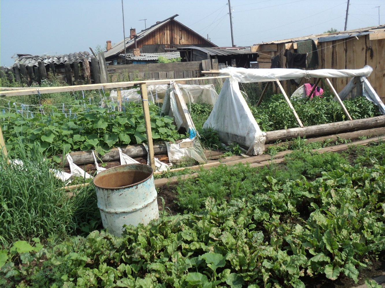 ��� ������