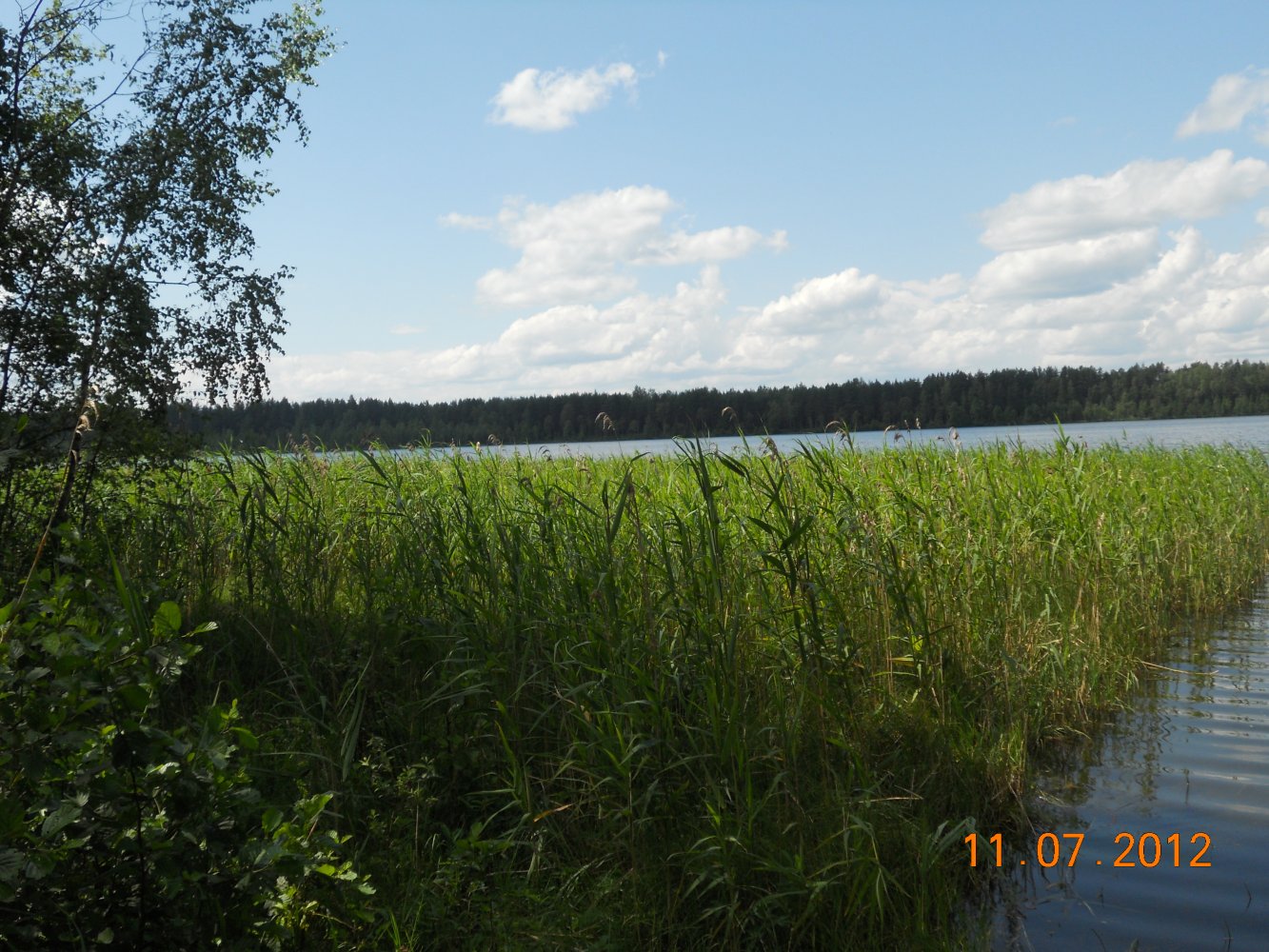 ������� ������