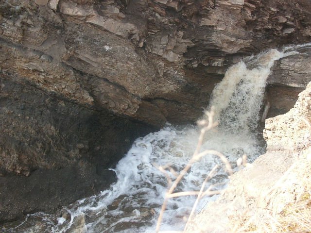 ������� �� �.������, �.������