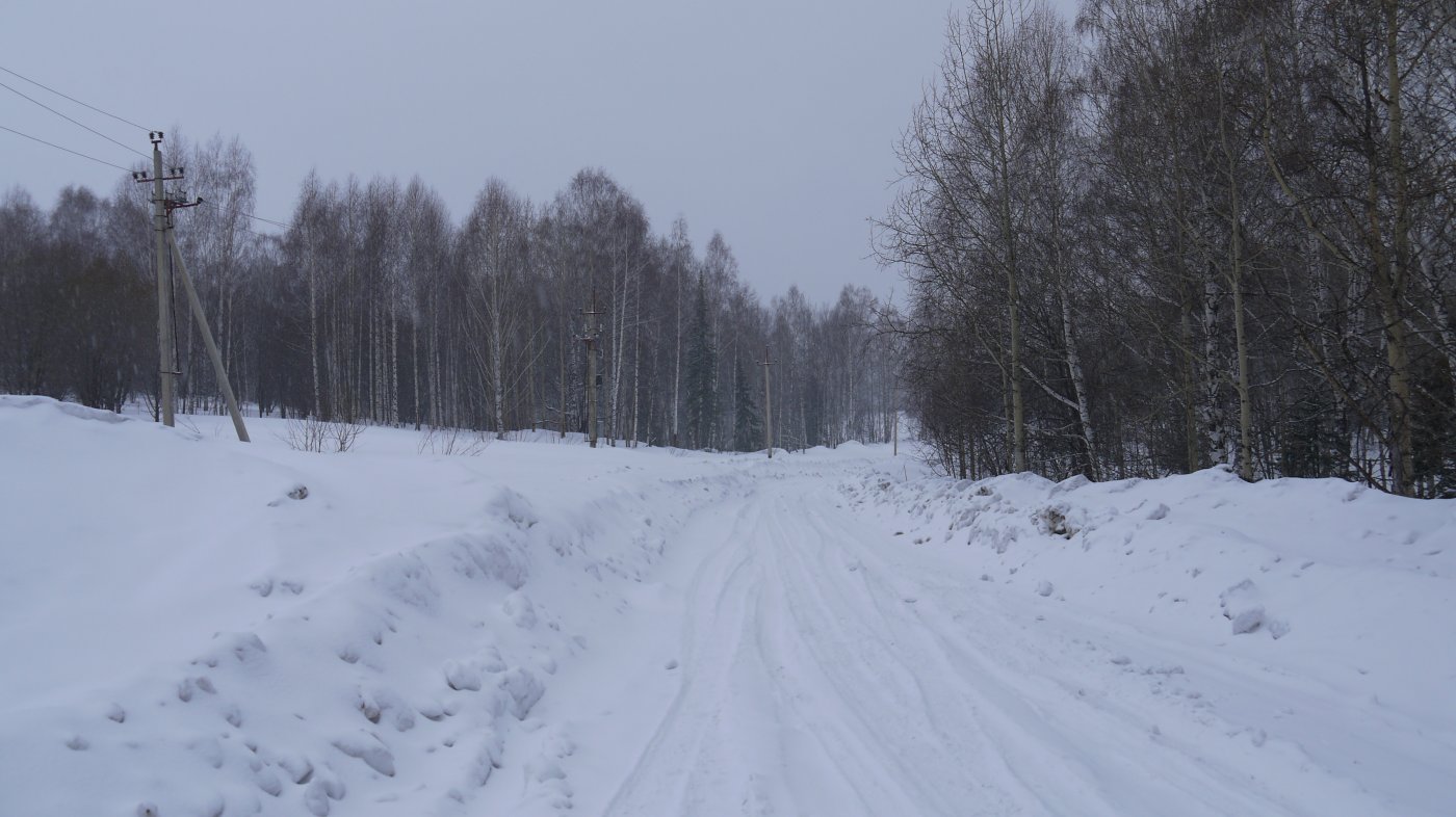 ������ � ���� �����