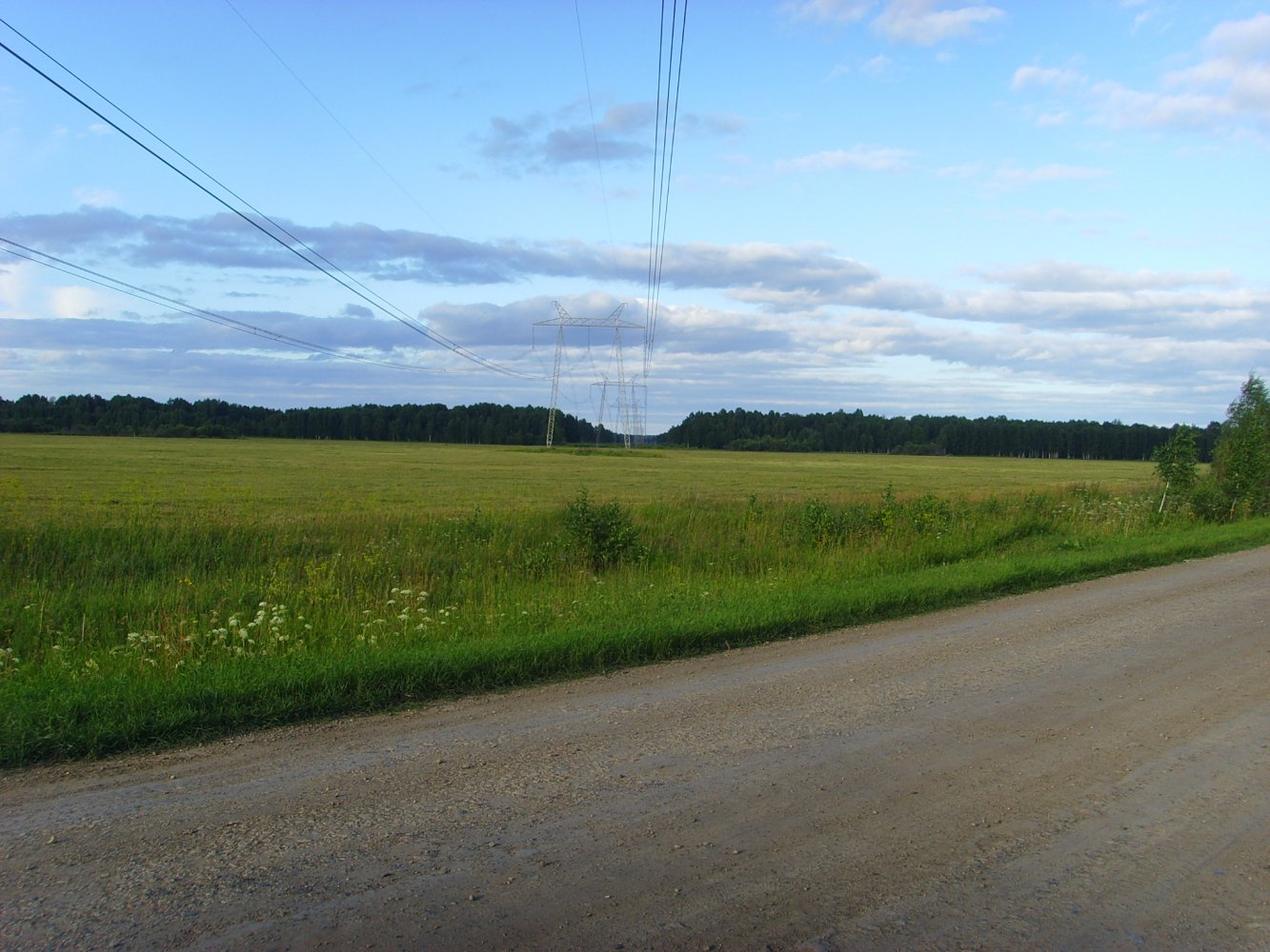 ������������