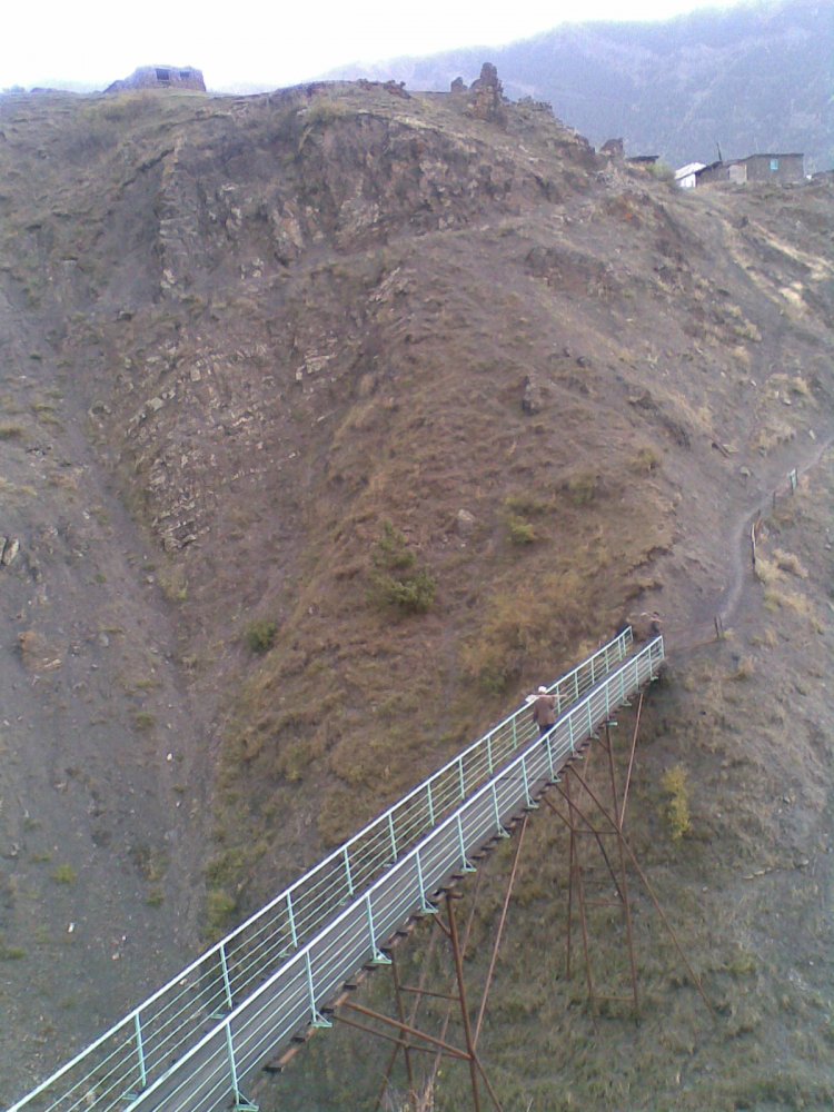 ������������ ����