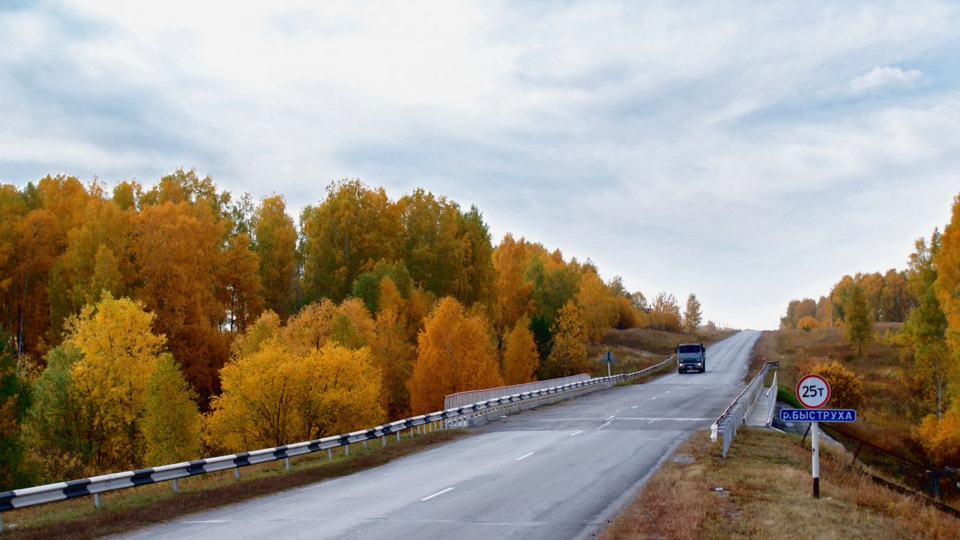 ���� ����� ��������