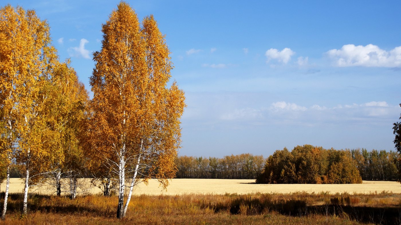 ����������� ������