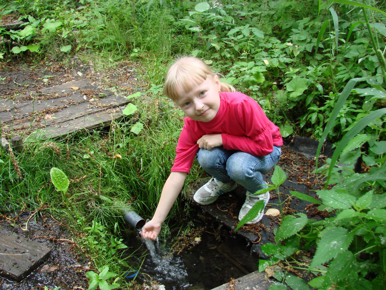 ������� � ����.