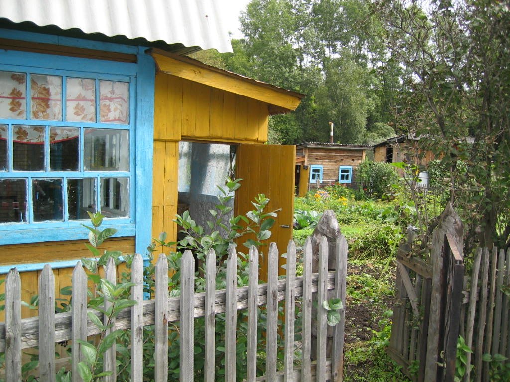 ���� ���������.