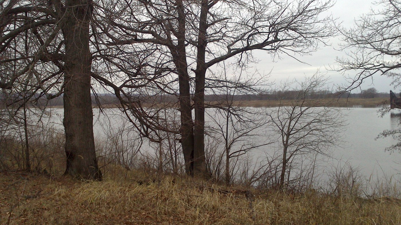 ������ ��������� ��.�� ����� ������ ���.89519055452