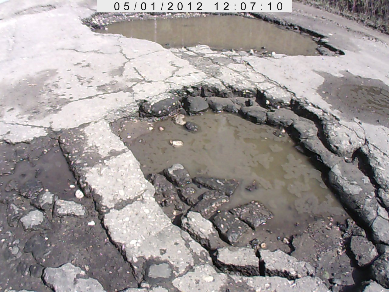 ����������.