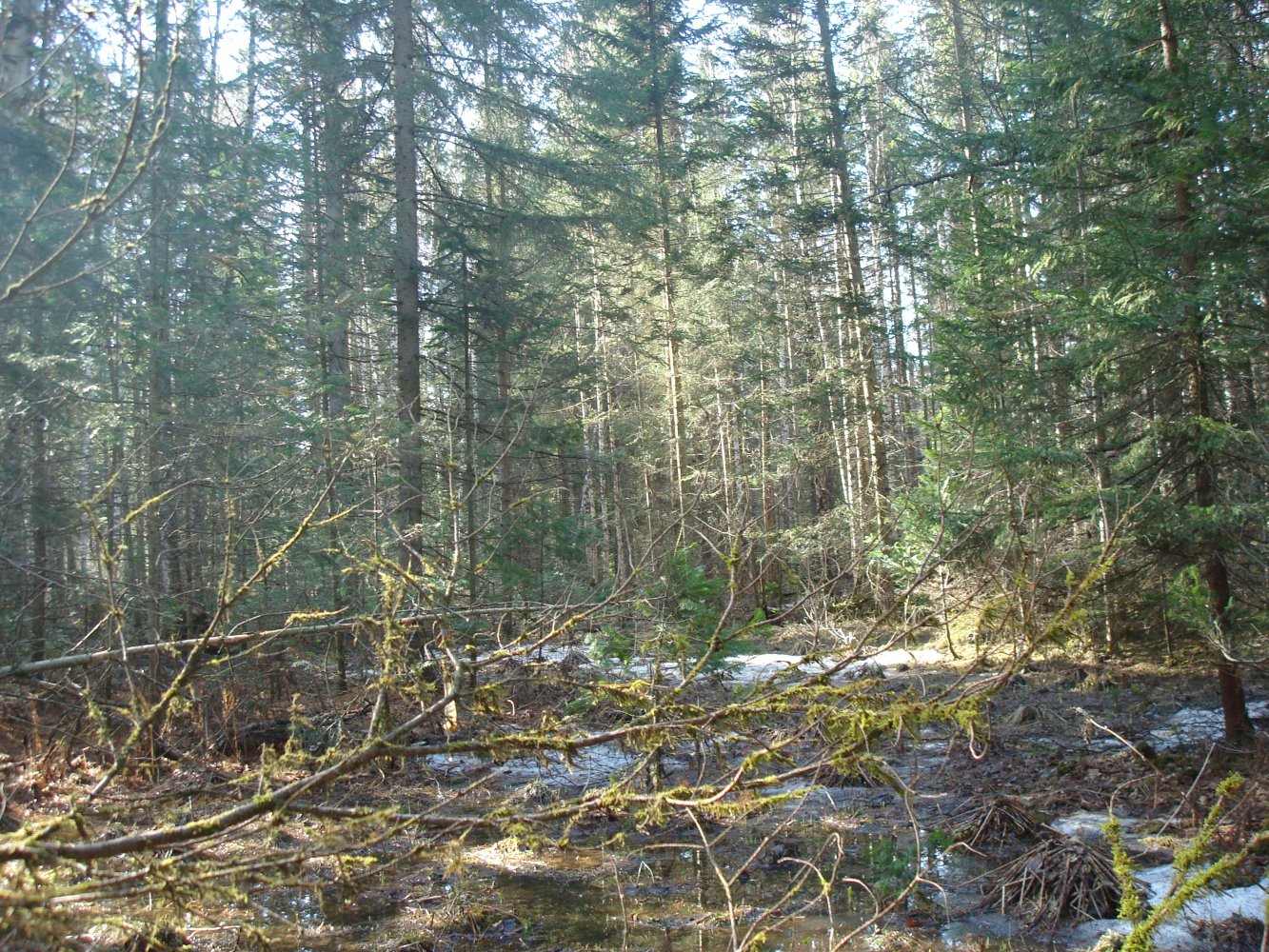 "����� ������, ����� ����� ������..."