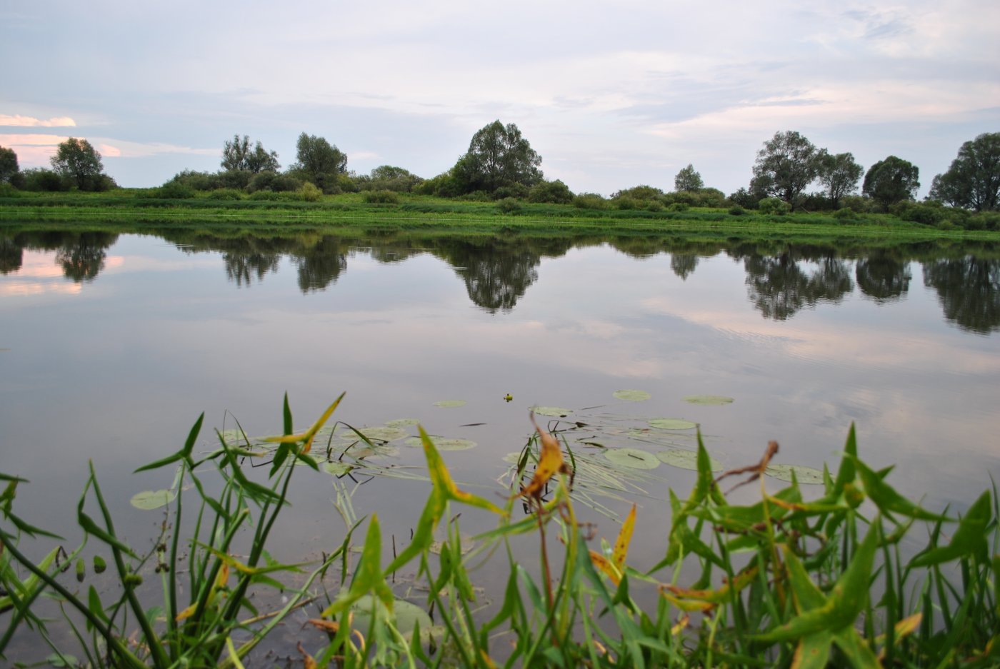 �� �������, �����