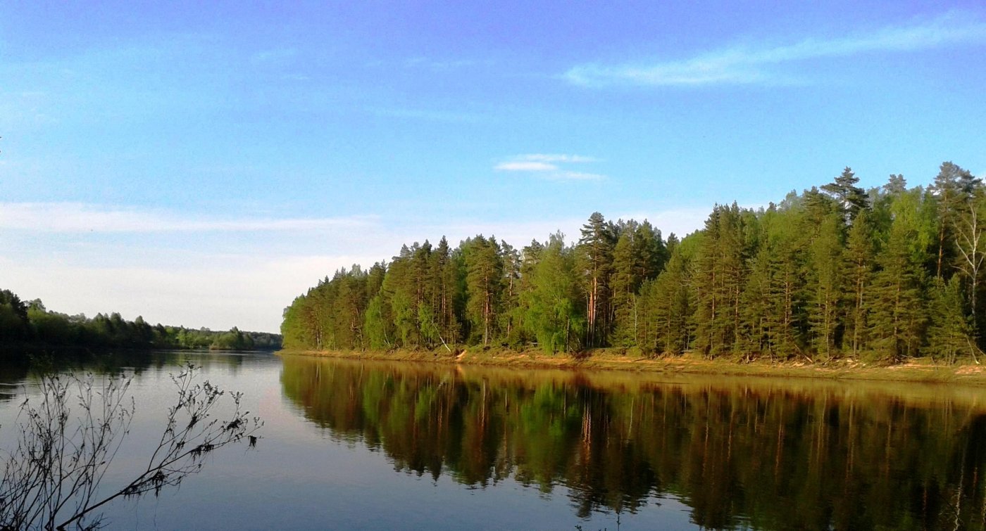 ������ ������ ��� 13