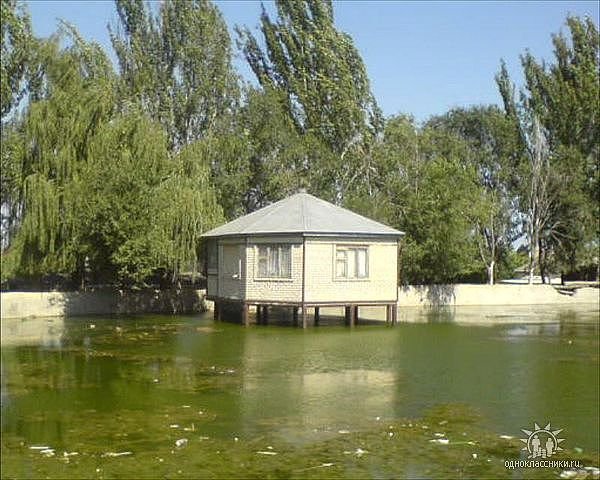 ���� ����