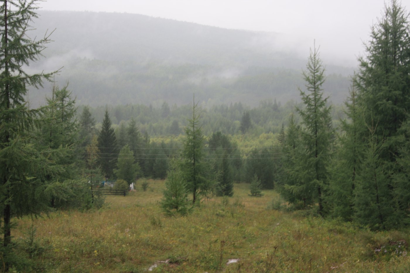 �.������