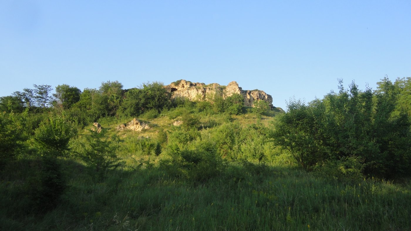 �������� � ������ ���������