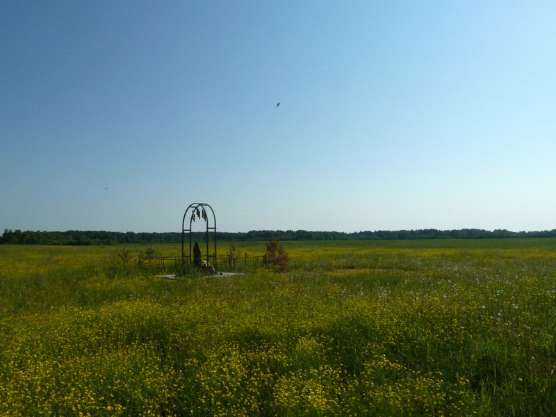 �������� ���