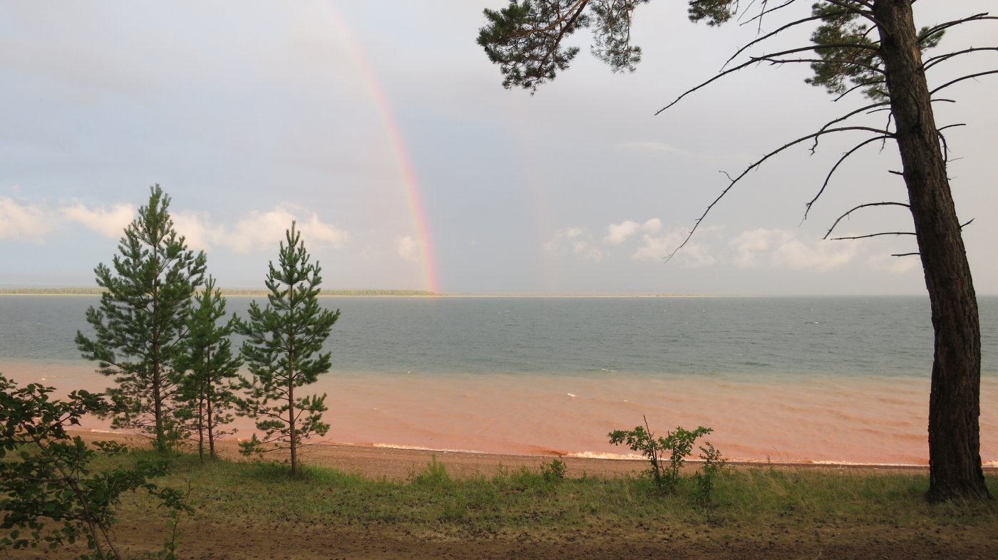 ����,�����