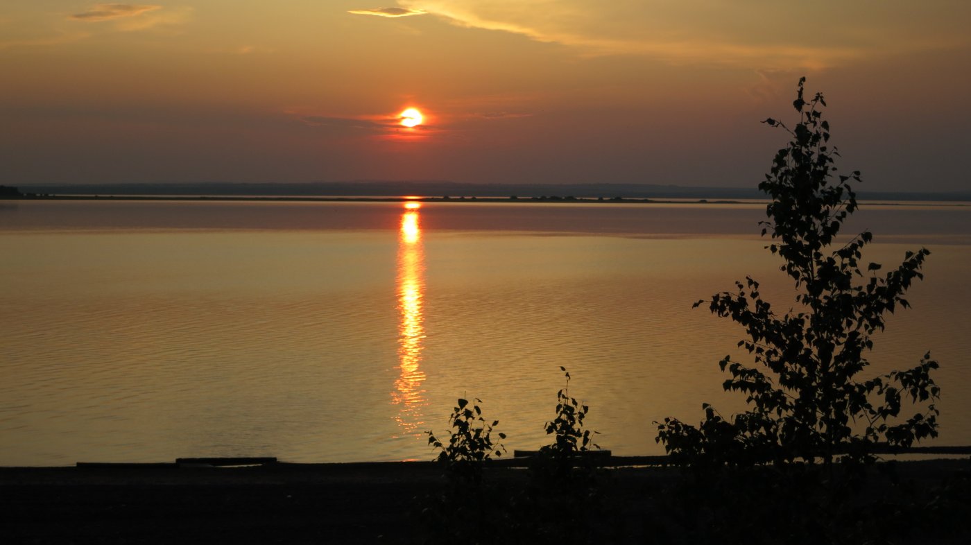 ����� ����� ���������