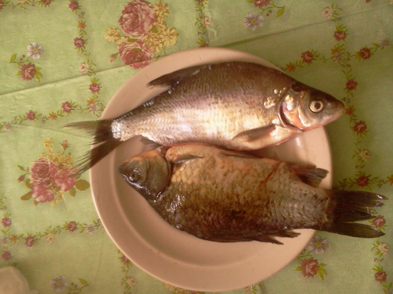 ���� � �������