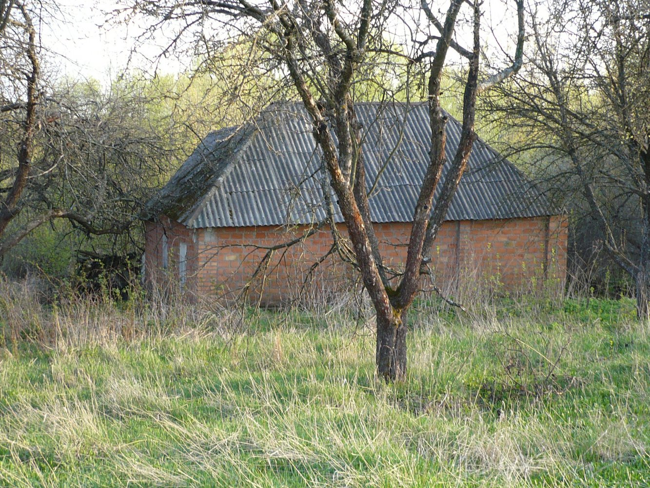 ���� �� ������� �� ������