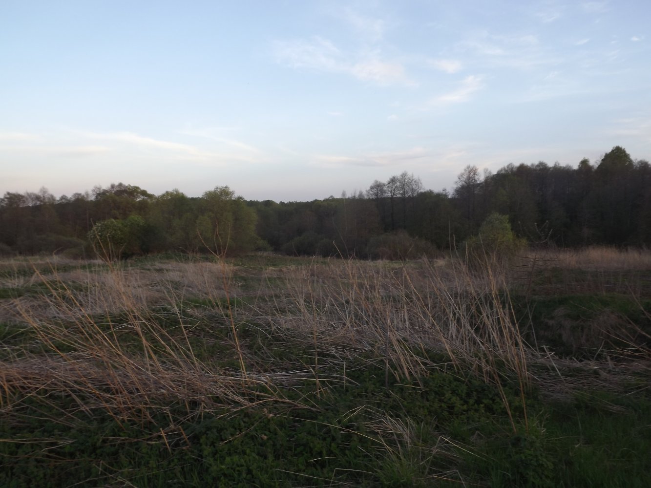 ������ ����� ��������.