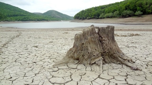 ����� 2013 �������������� �������������