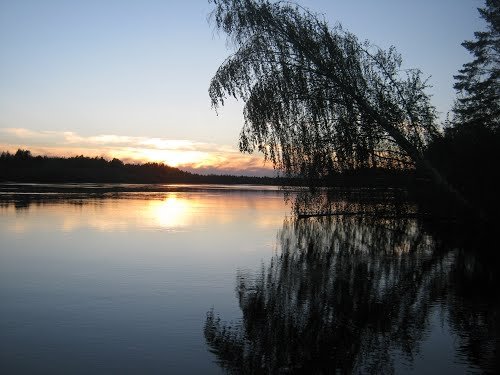 ��������� �� �������.�� ��������������