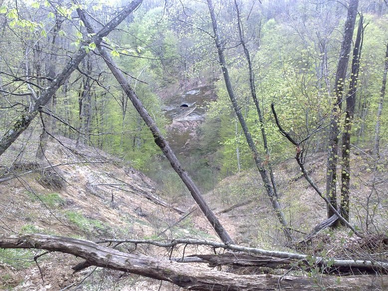 ��� �� ������ � �������