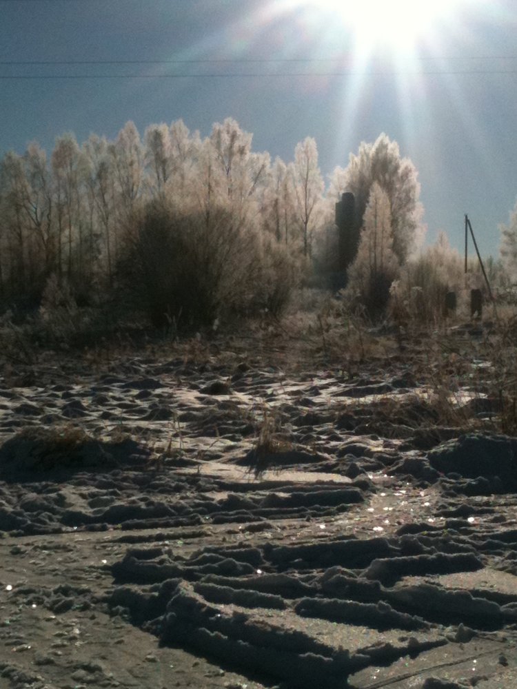 �.������