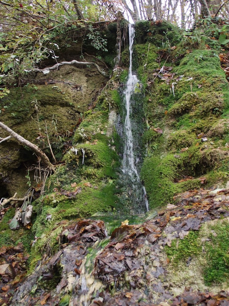 ���������. ���� ����, ��.����������