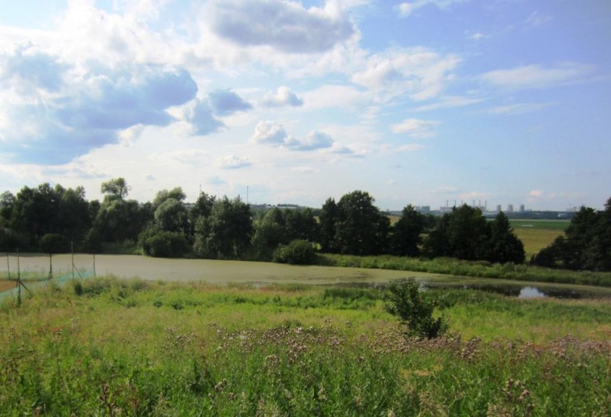 ����� ������� ������