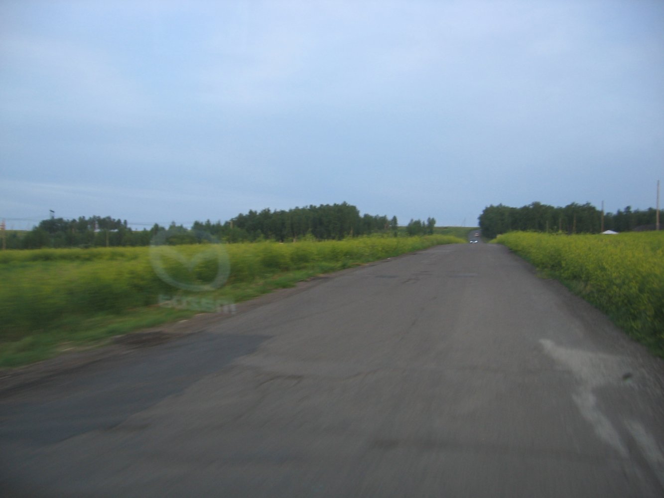 ������� ����� �����. ������������ ����. ������!