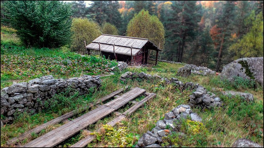 ���������� ������ ������ ����