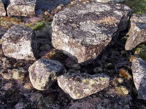 �������� ����� �� ���������